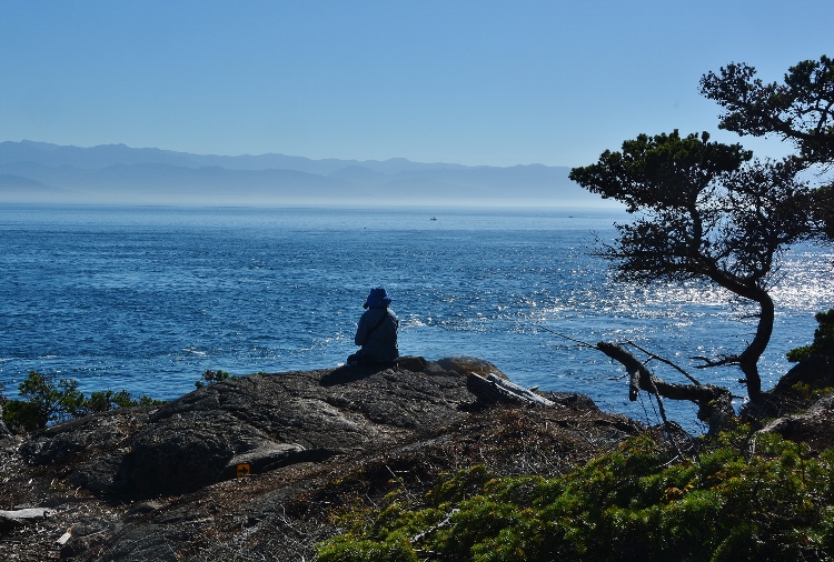 looking out over the water